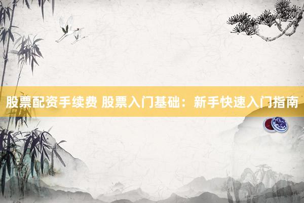 股票配资手续费 股票入门基础：新手快速入门指南