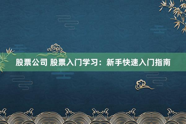 股票公司 股票入门学习：新手快速入门指南