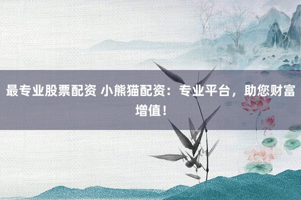 最专业股票配资 小熊猫配资：专业平台，助您财富增值！