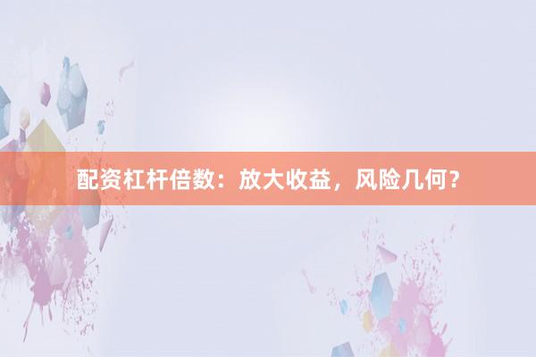 配资杠杆倍数：放大收益，风险几何？
