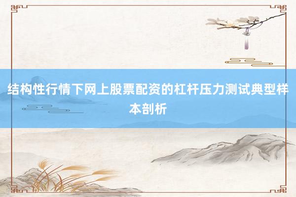 结构性行情下网上股票配资的杠杆压力测试典型样本剖析
