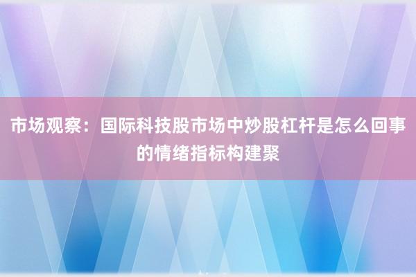 市场观察：国际科技股市场中炒股杠杆是怎么回事的情绪指标构建聚