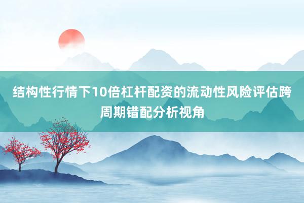 结构性行情下10倍杠杆配资的流动性风险评估跨周期错配分析视角