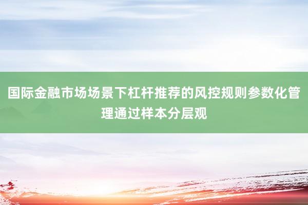 国际金融市场场景下杠杆推荐的风控规则参数化管理通过样本分层观