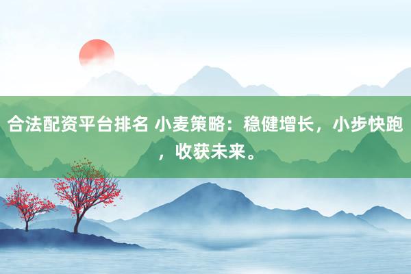 合法配资平台排名 小麦策略：稳健增长，小步快跑，收获未来。